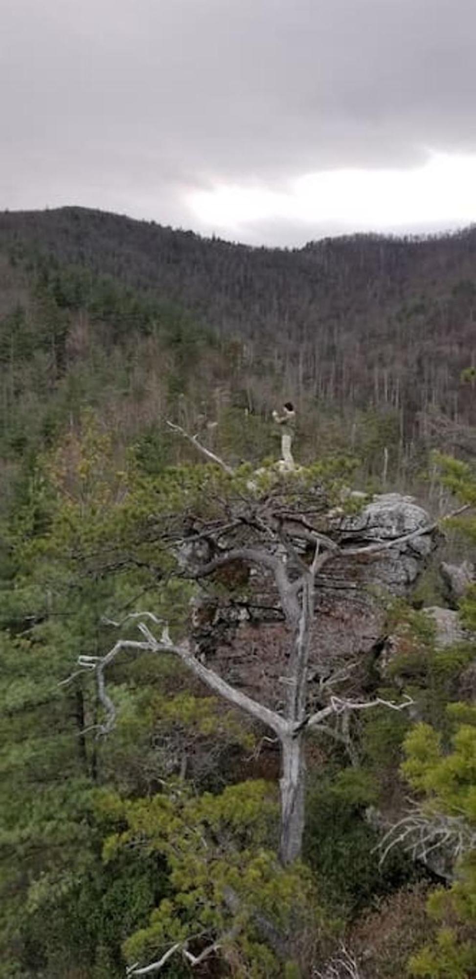 Bark House Heart Of Linville Falls Wspa Newland Exterior foto